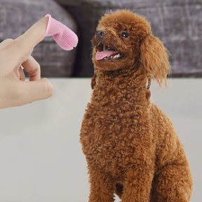 SUPER SOFT PET TOOTHBRUSH